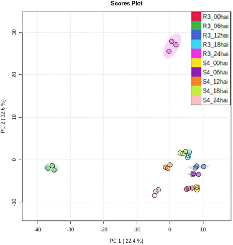 FIGURE 3