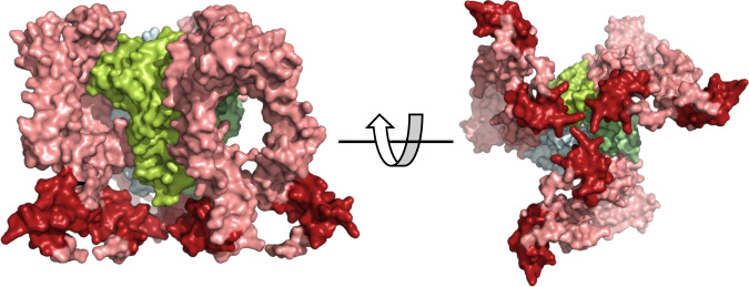 Fig. 7