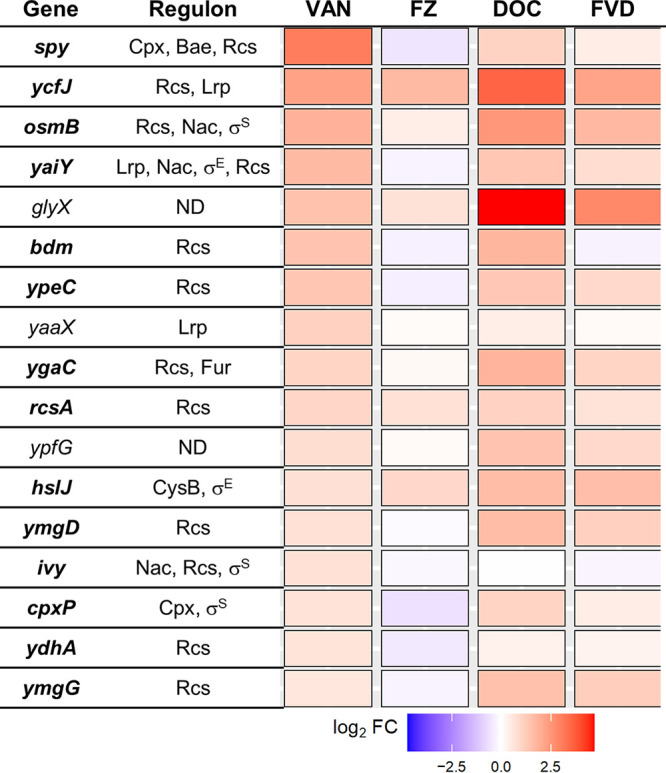 FIG 6