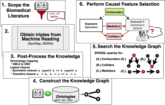 graphic file with name nihms-1903363-f0001.jpg