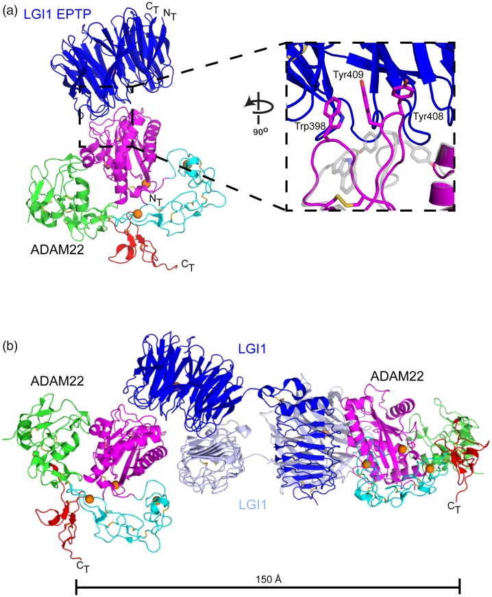 Figure 4.