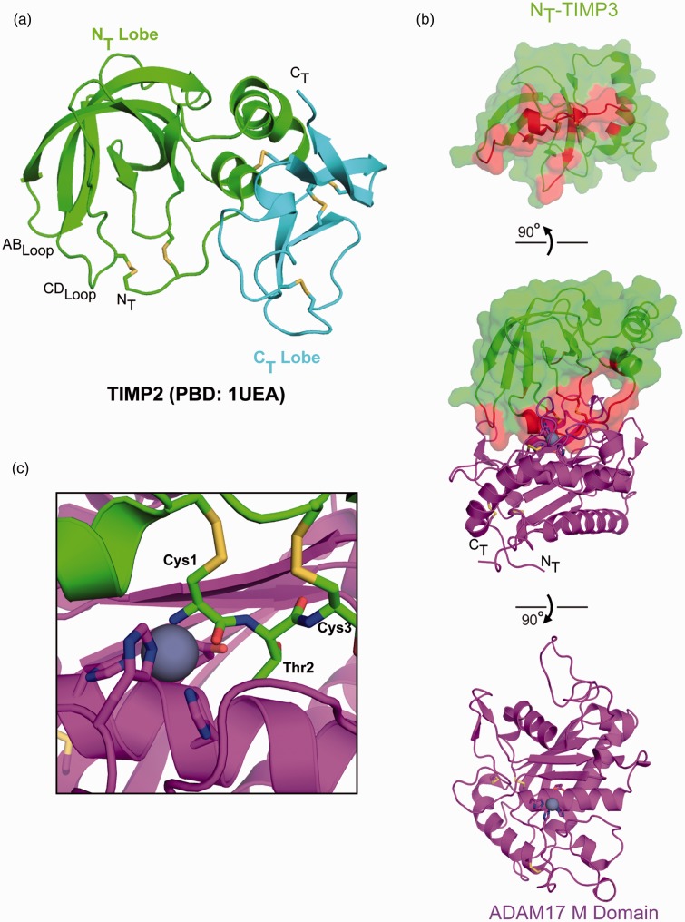 Figure 5.