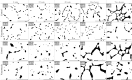 Fig 8