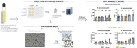 Image, graphical abstract