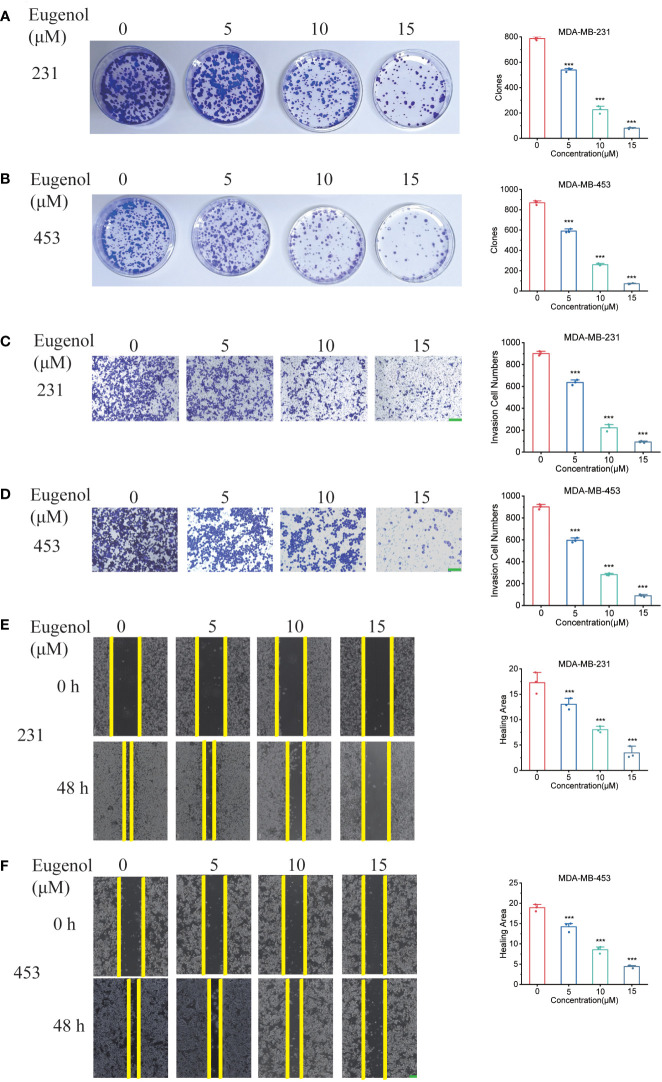 Figure 2