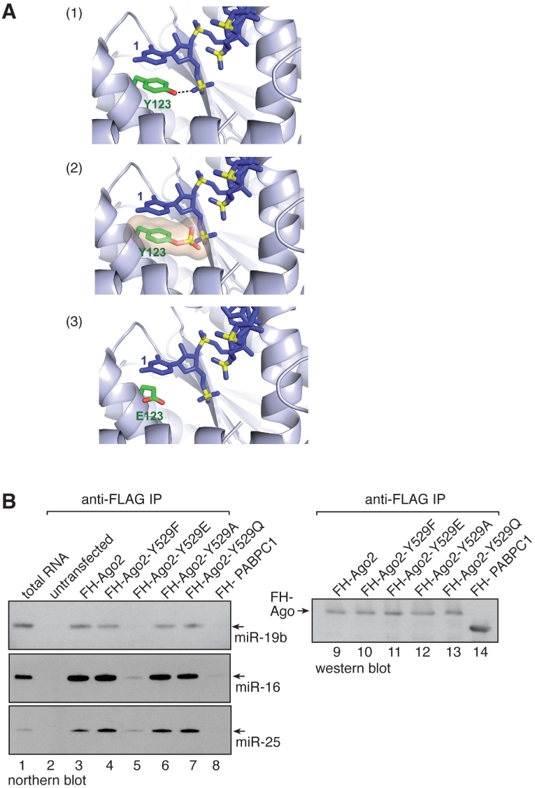 Figure 5.