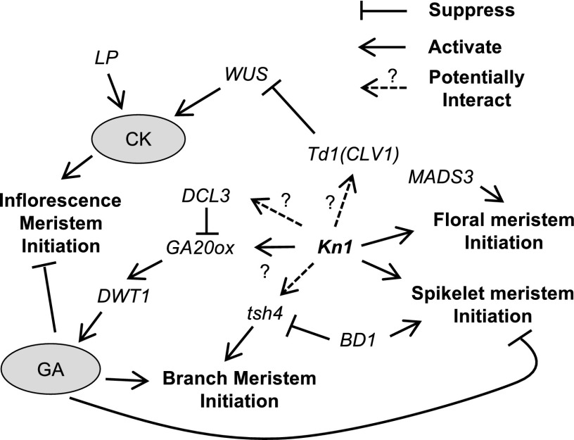 Figure 7.