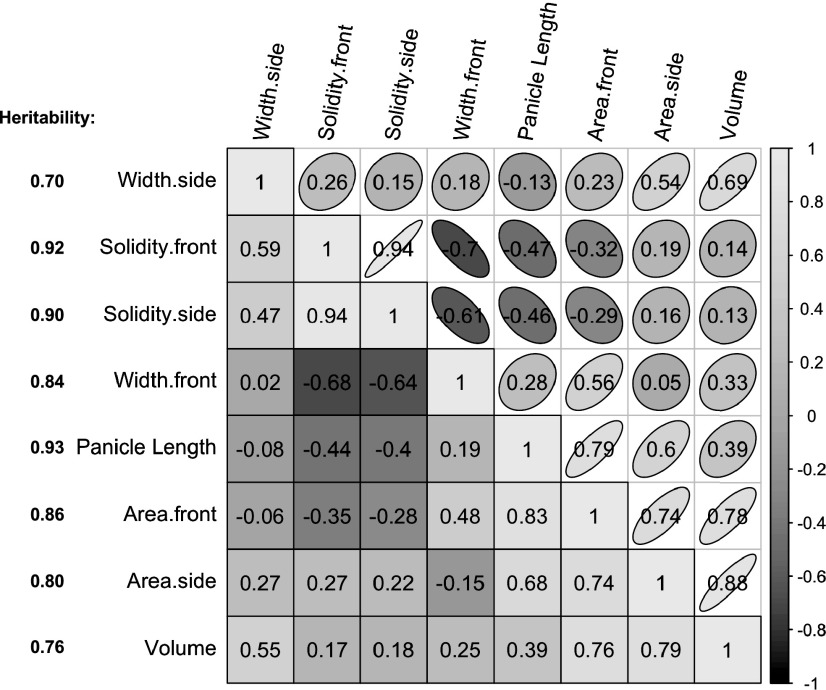 Figure 4.