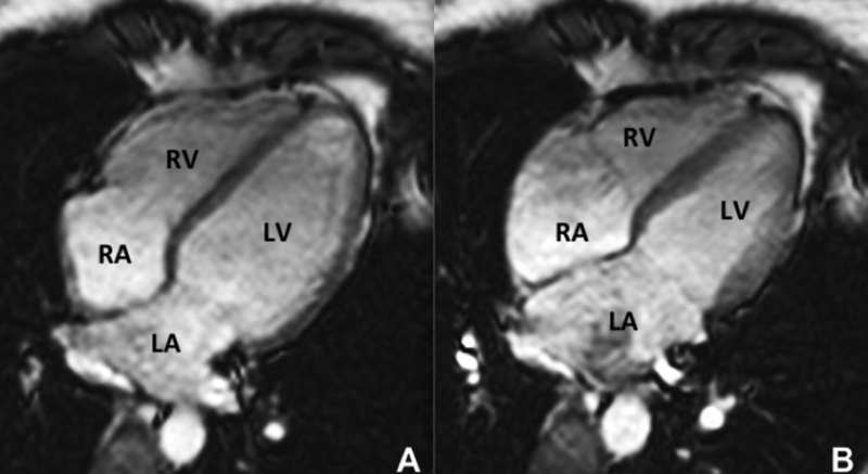 Figure 2: