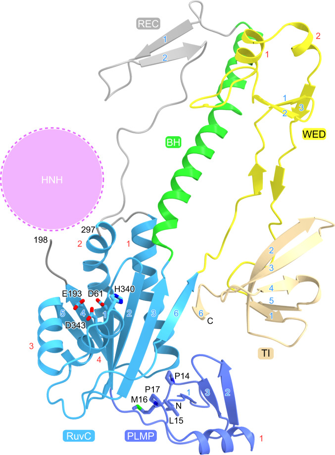 Fig. 2