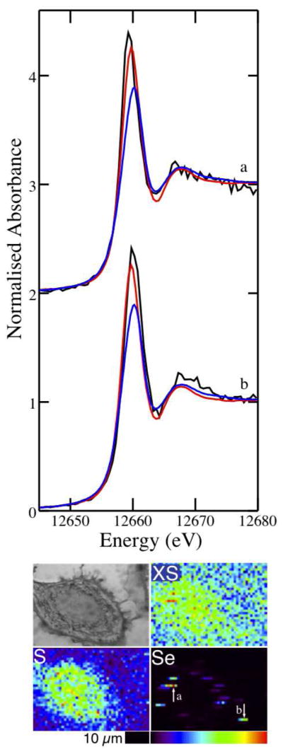 Figure 7