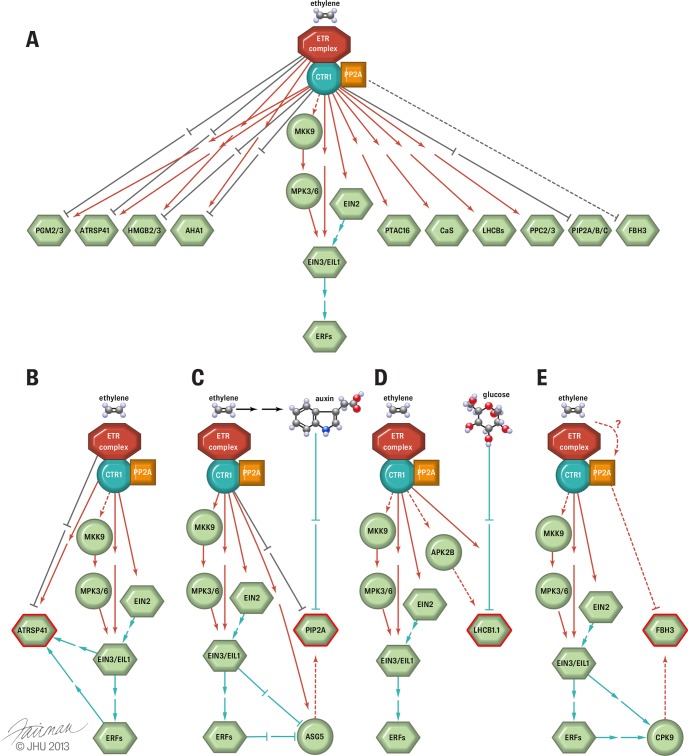 Fig. 7.