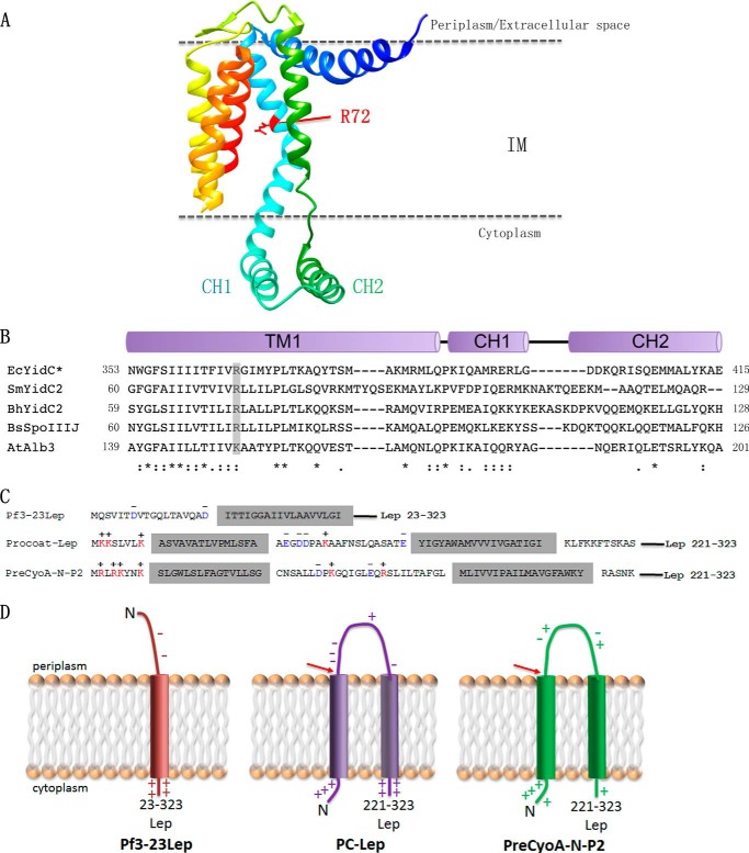 FIGURE 1.