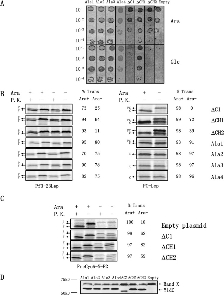 FIGURE 3.