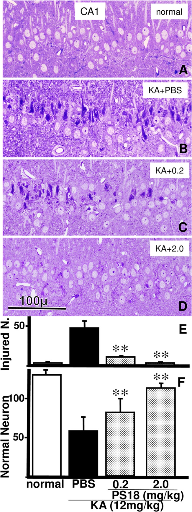 Fig 5