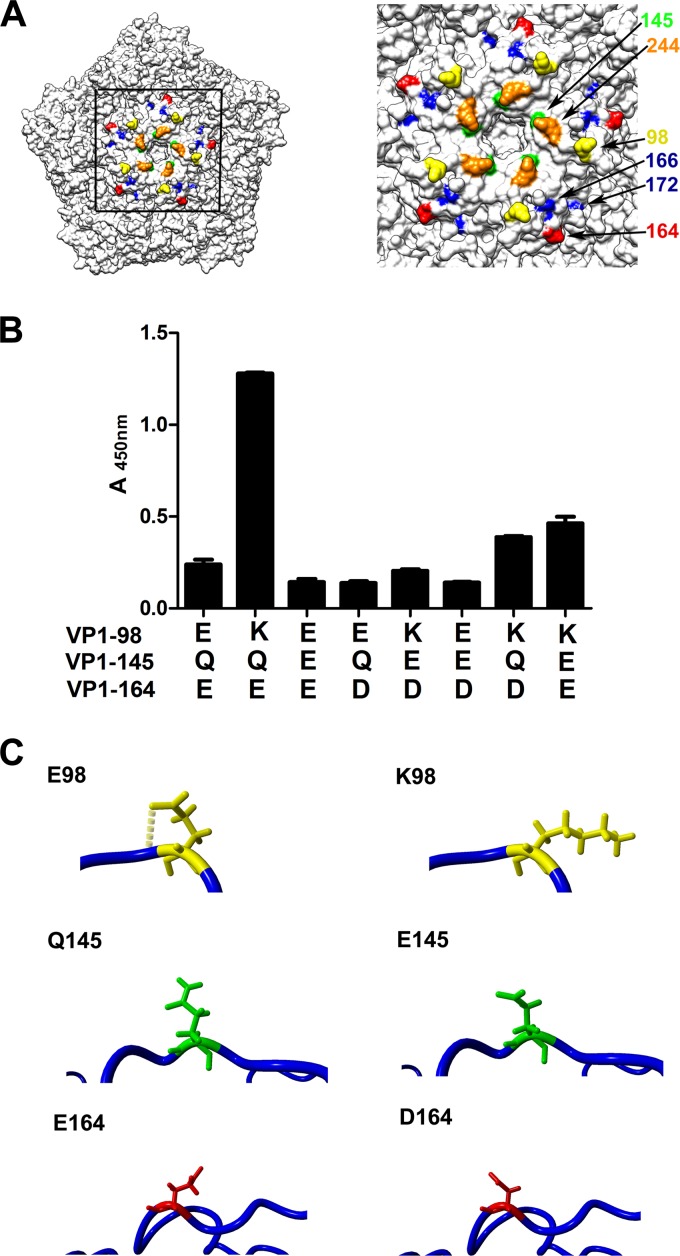 FIG 1