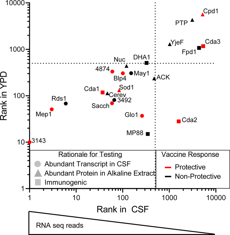 Figure 3: