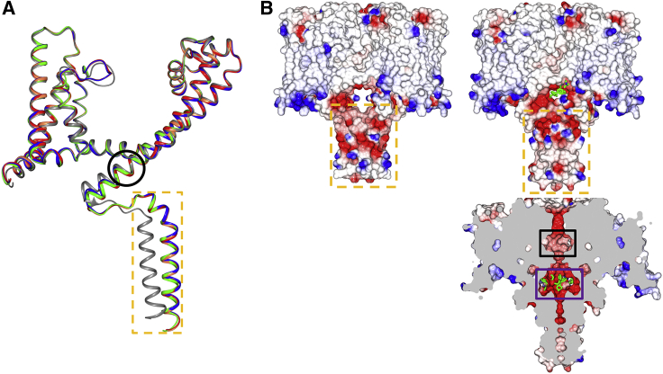 Figure 2