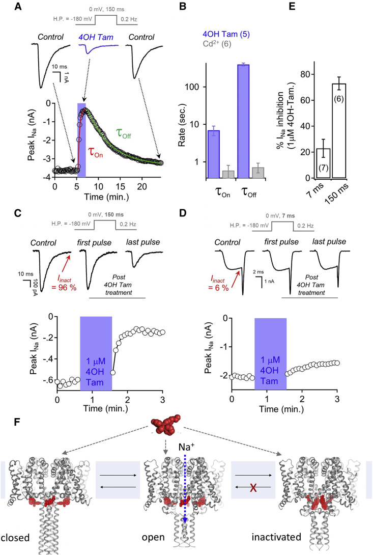 Figure 6