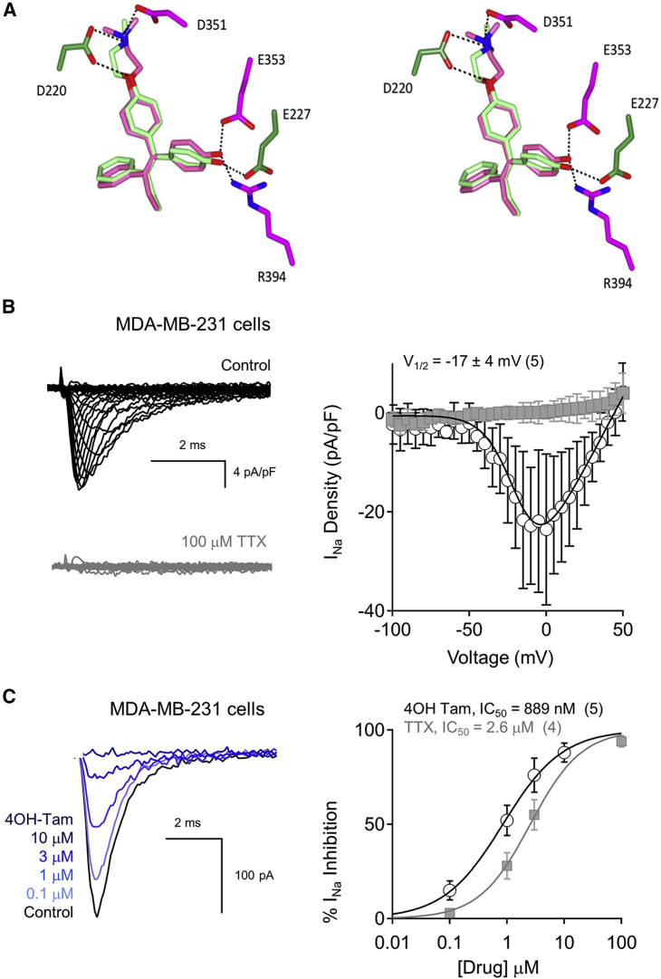 Figure 5