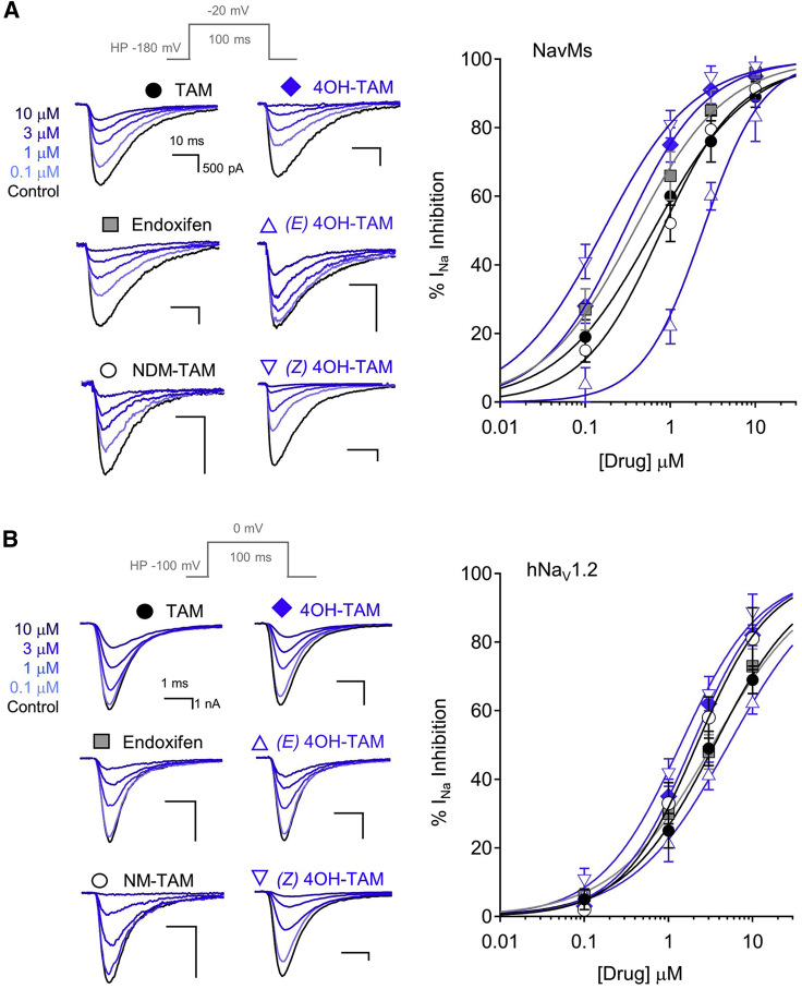 Figure 4