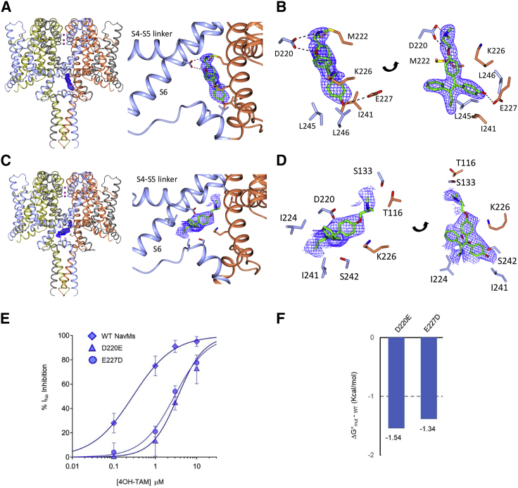 Figure 3