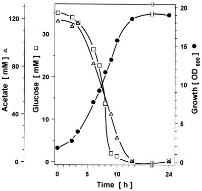 FIG. 1