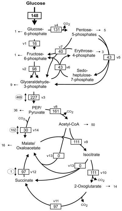 FIG. 3