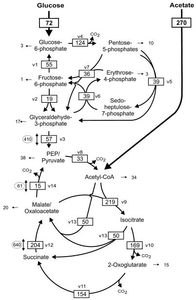 FIG. 4