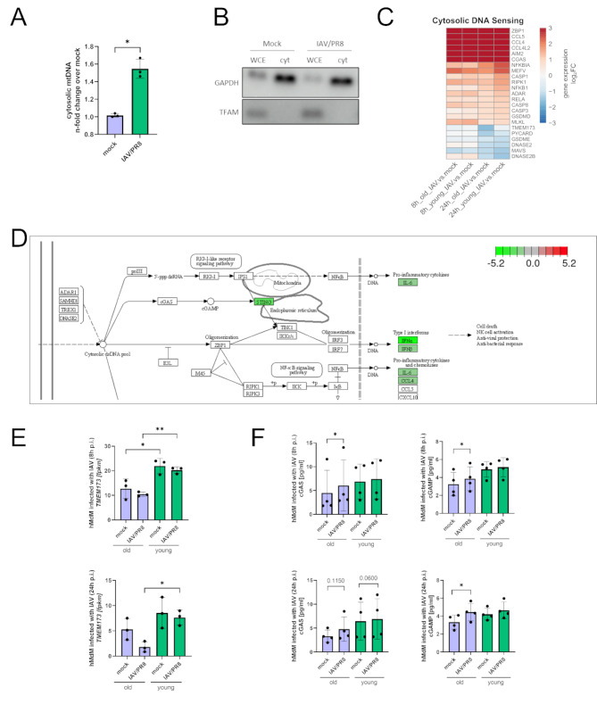 Fig. 2