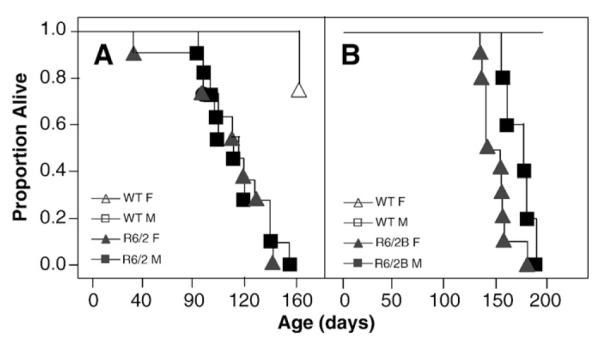 Fig. 12