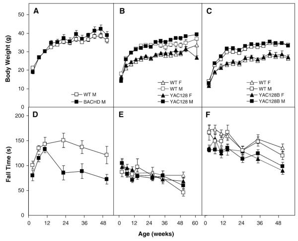 Fig. 11