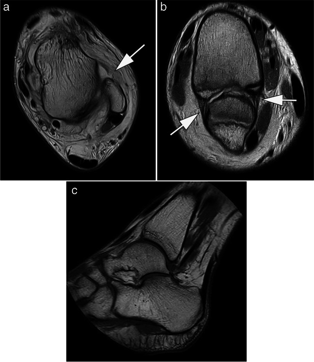 Fig. 6