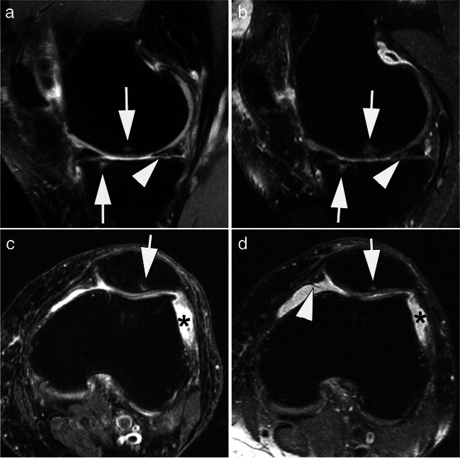 Fig. 5