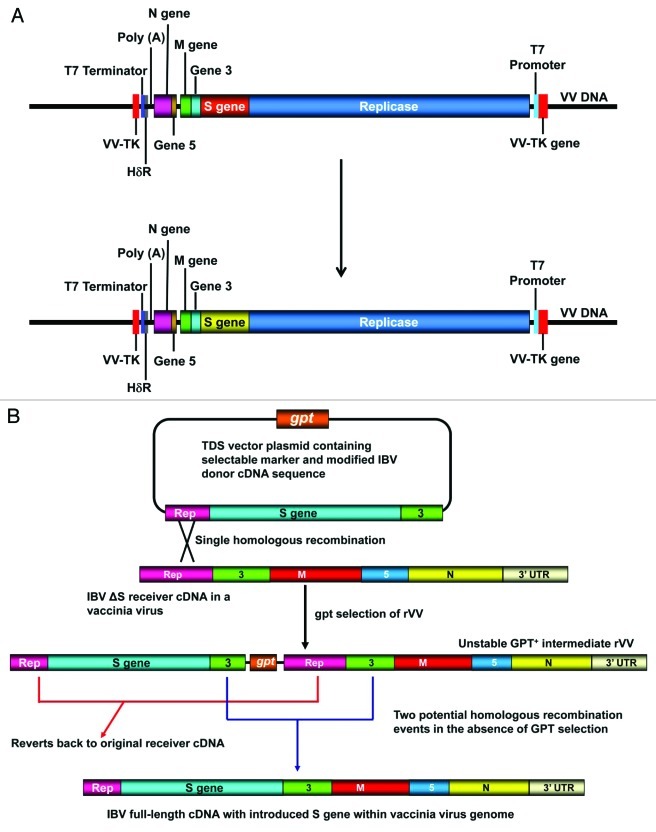 Figure 1. 