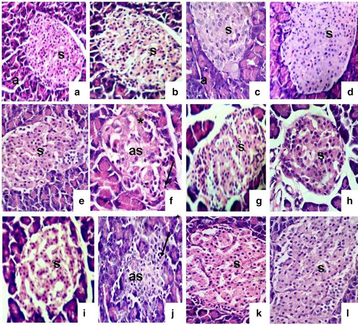 Fig. 6