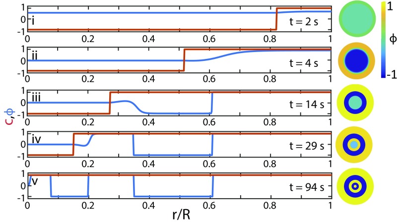 Fig. 3.