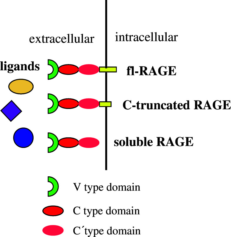 Fig. 2