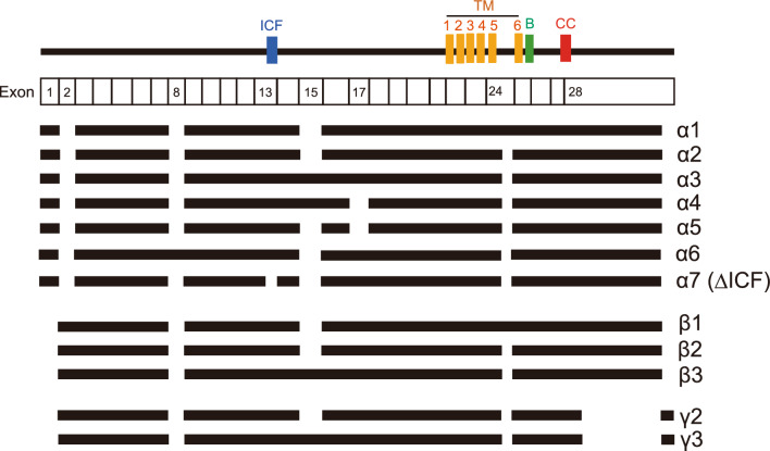 Fig. 2