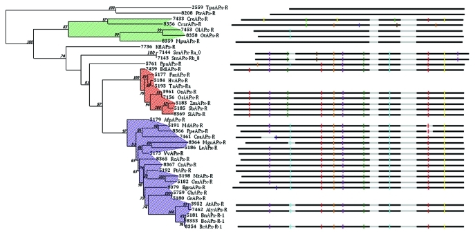 Figure 1.