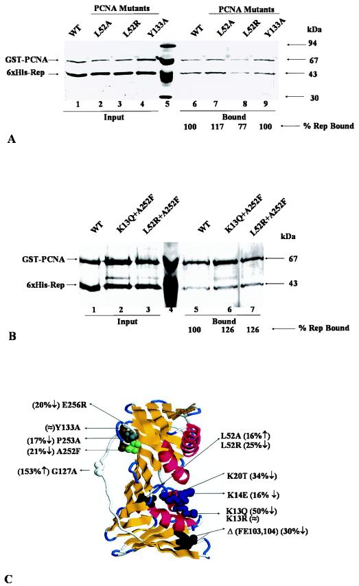 FIG.4.