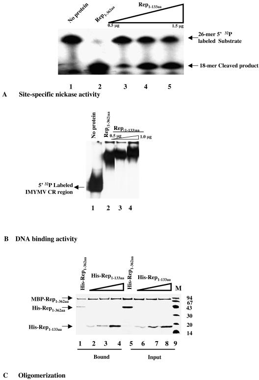 FIG. 6.