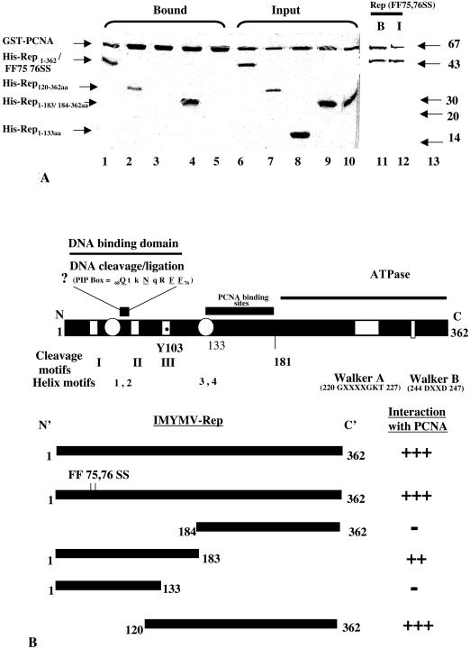 FIG. 5.