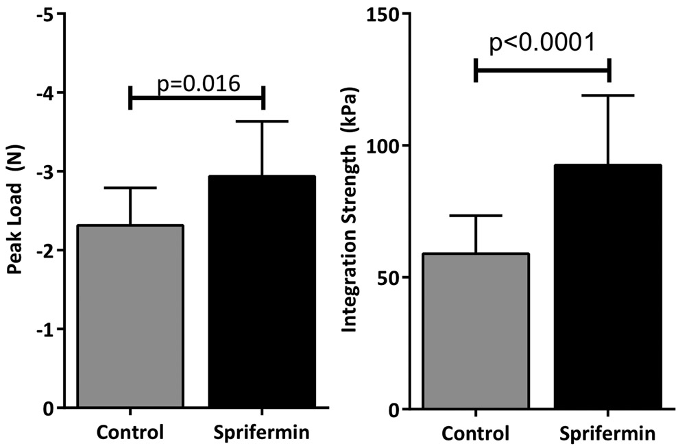 Fig 3.