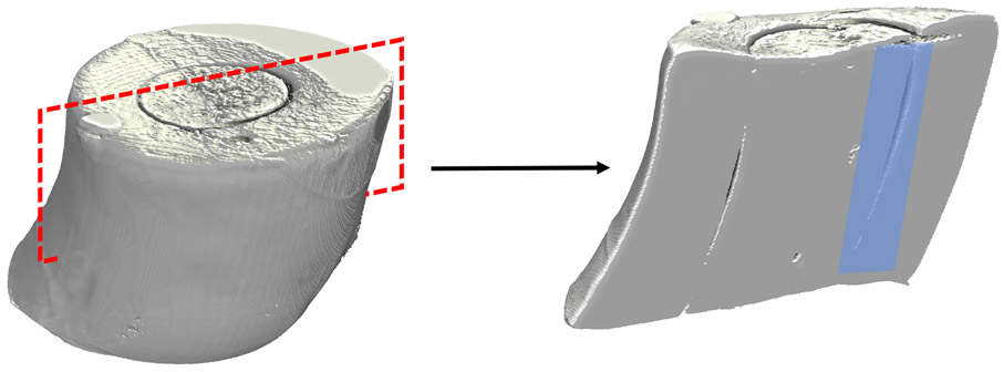 Fig 2.