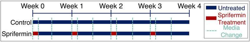 Fig 1.