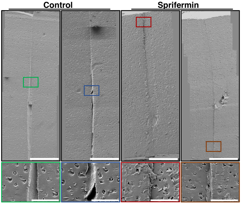 Fig 6.