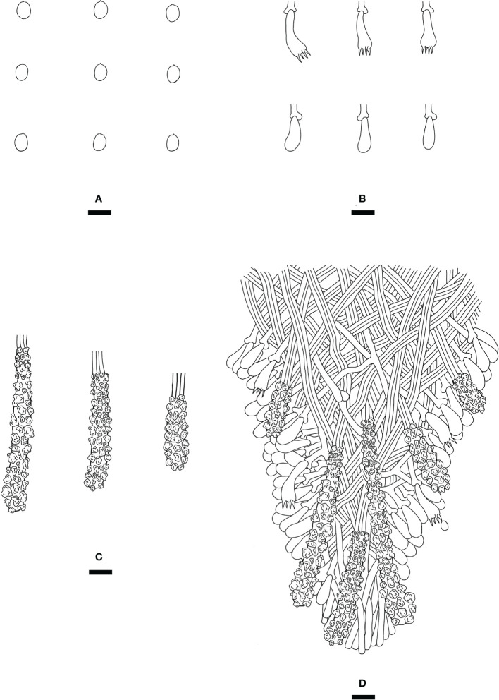 Figure 8