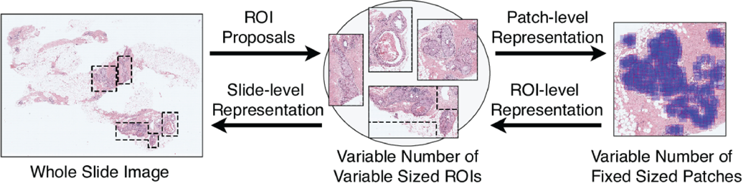 Fig. 1.