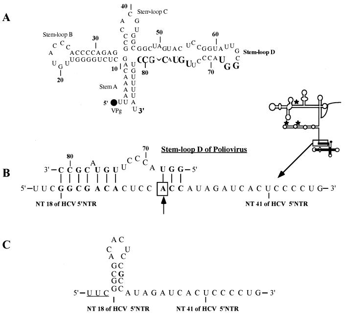 FIG. 3